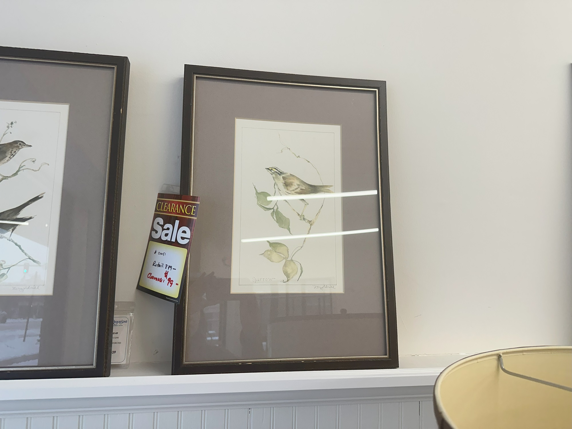 The Natural Light Graphic