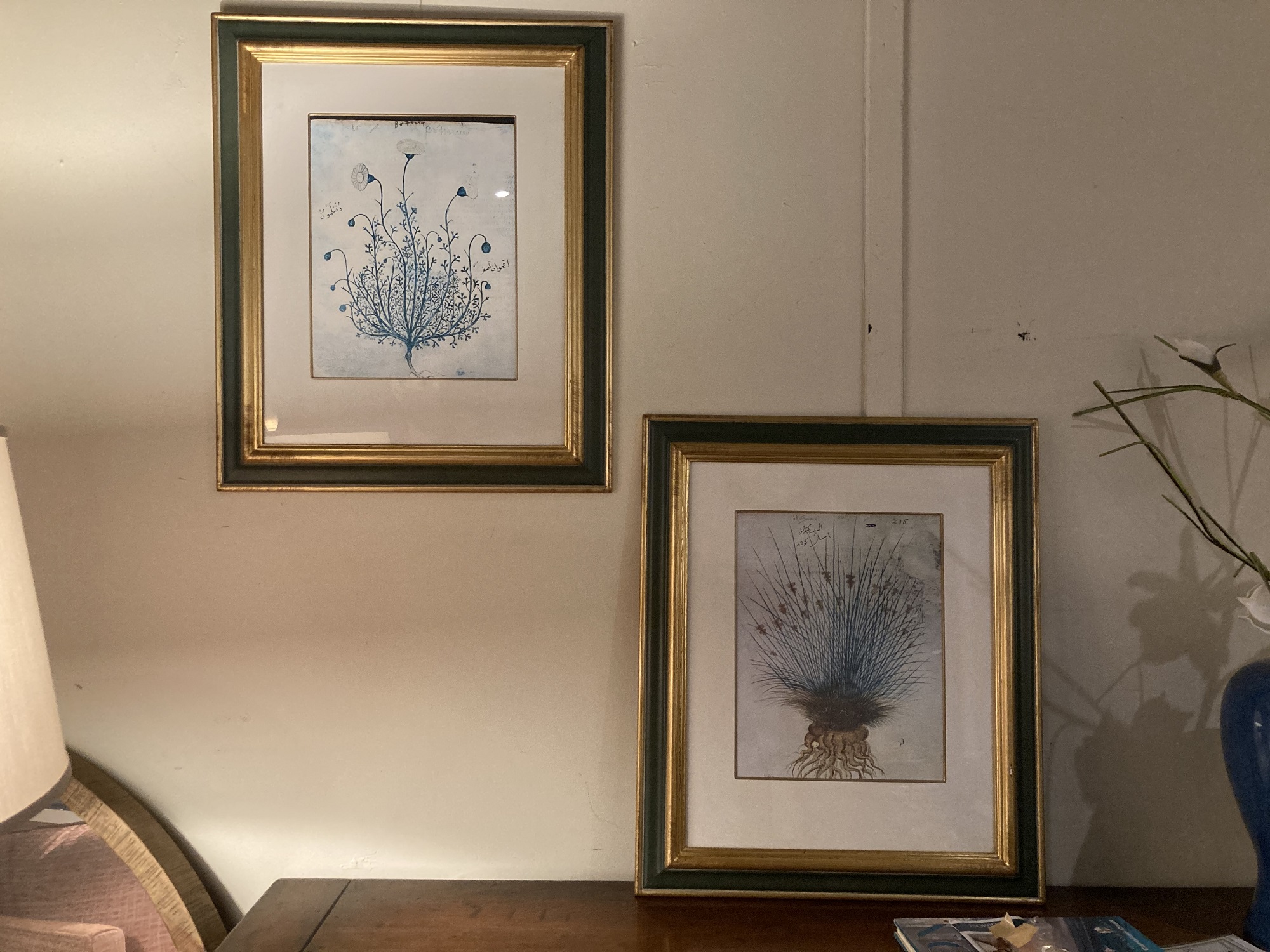 Botanical Prints